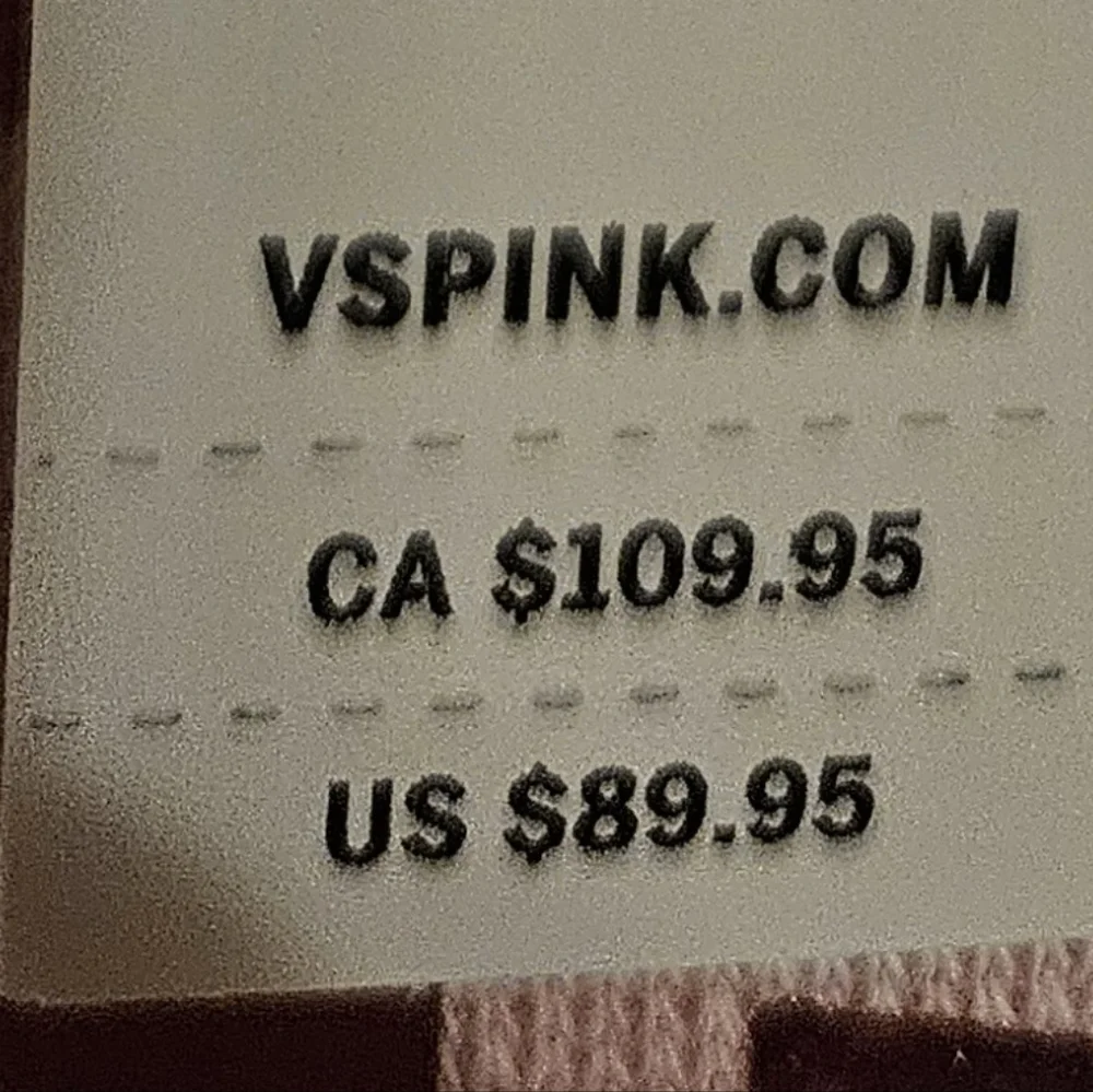 NWT PINK x LoveShackFancy Oversized Hoodie🩷 - Picture 12 of 15